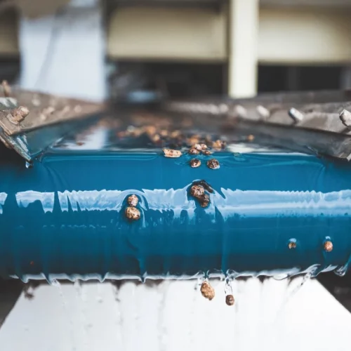 orxata_alta (7 de 7)